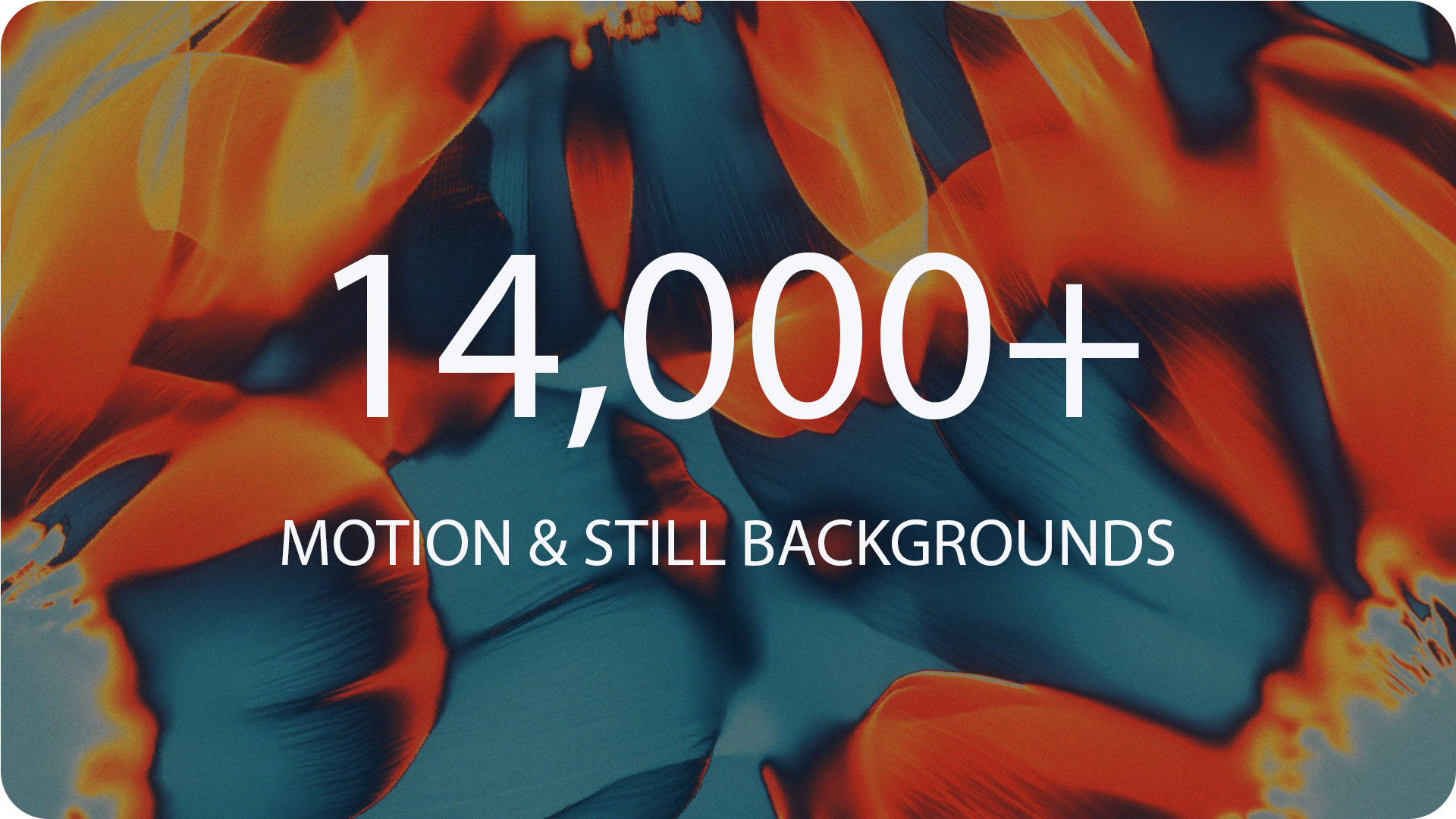 14,000+ Motion & Still Backgrounds