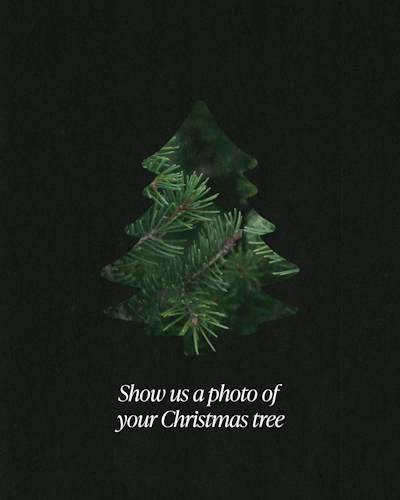 Show Us A Photo Of Your Christmas Tree — Christmas social graphic